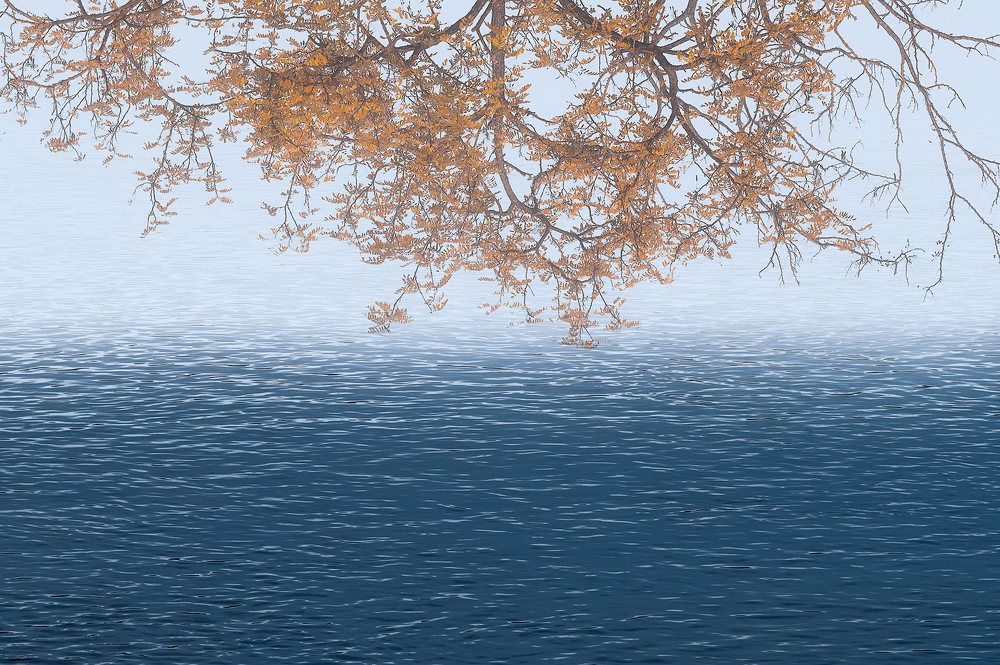 Photograph by dario camasso