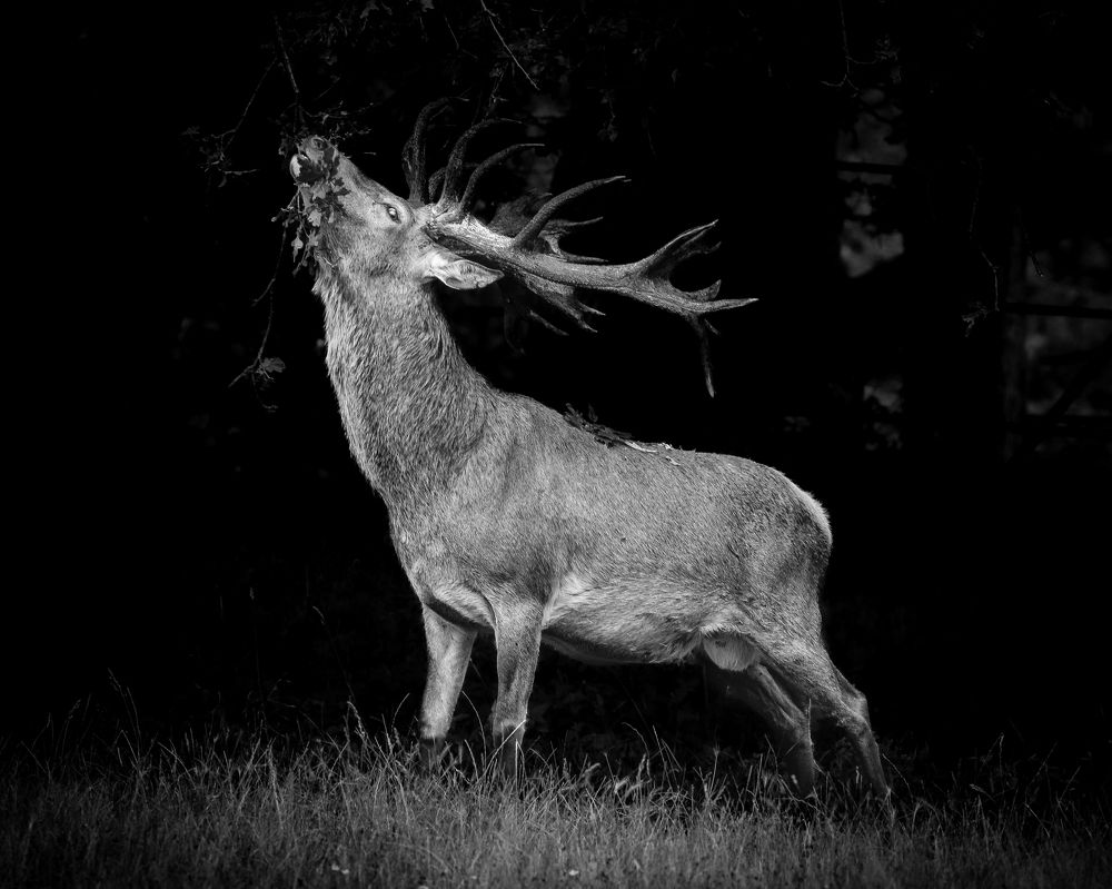 Photograph by Romans Kalans