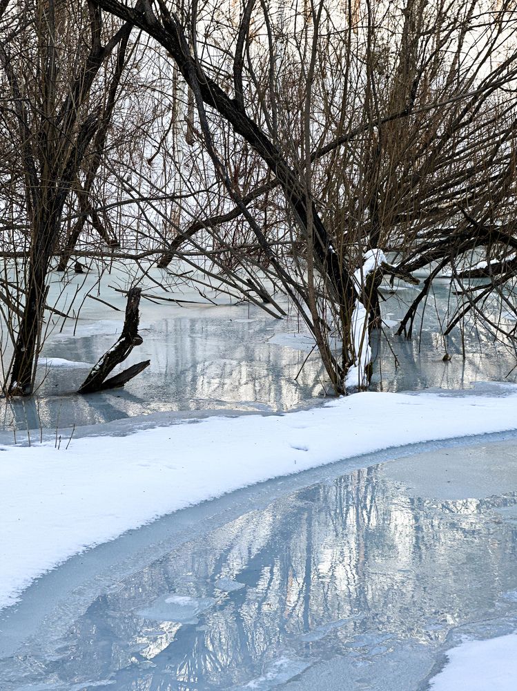 Photograph by Svetlana Tolkunova