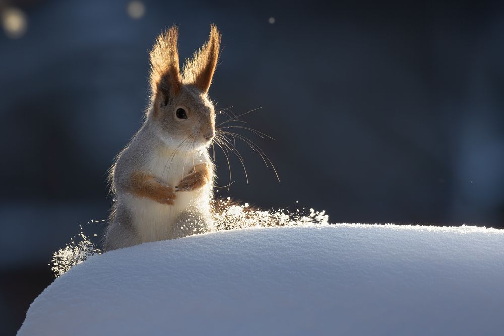 Photograph by Марат Кучкаев