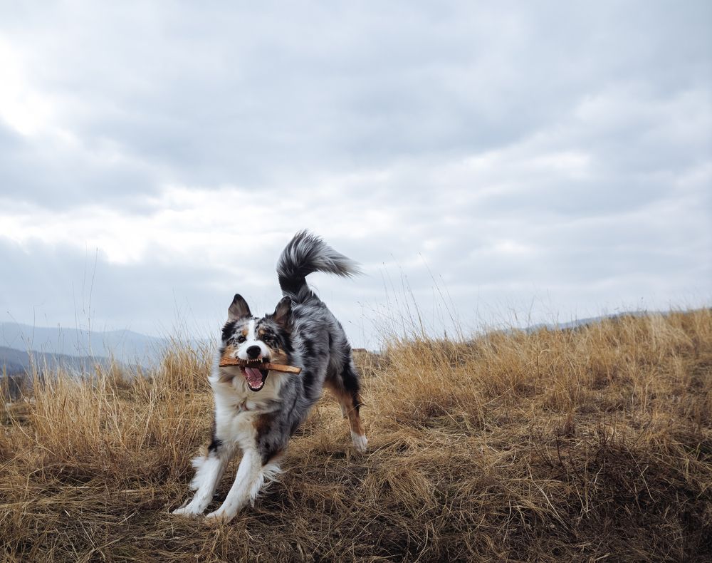 Фотография автора Саша