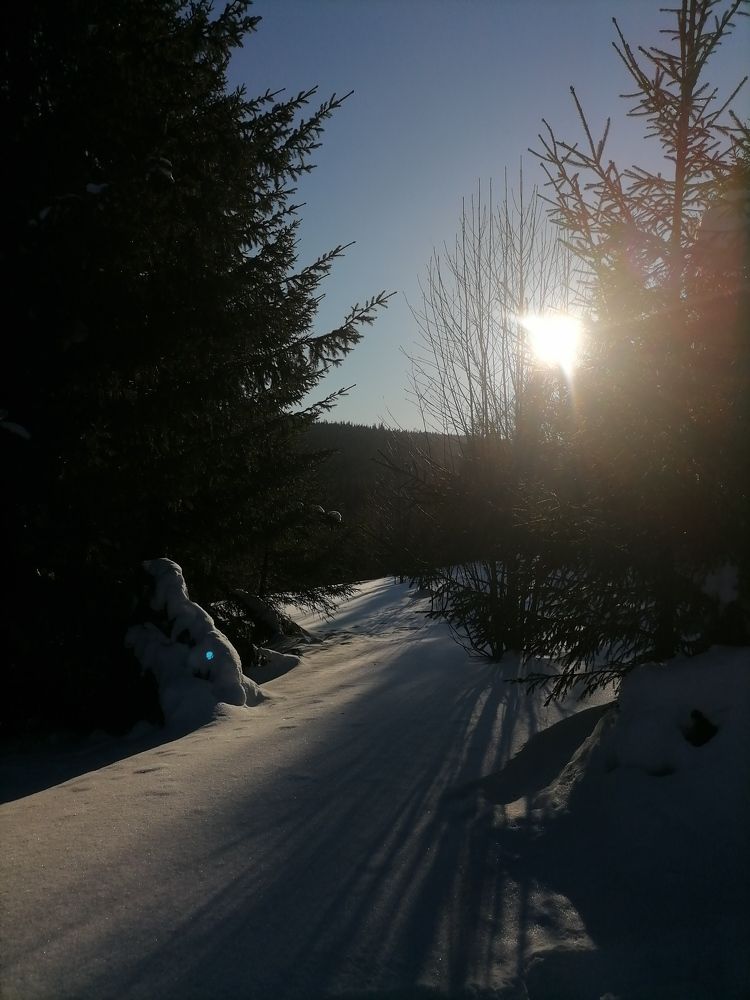 Photograph by Дарья Николаевна