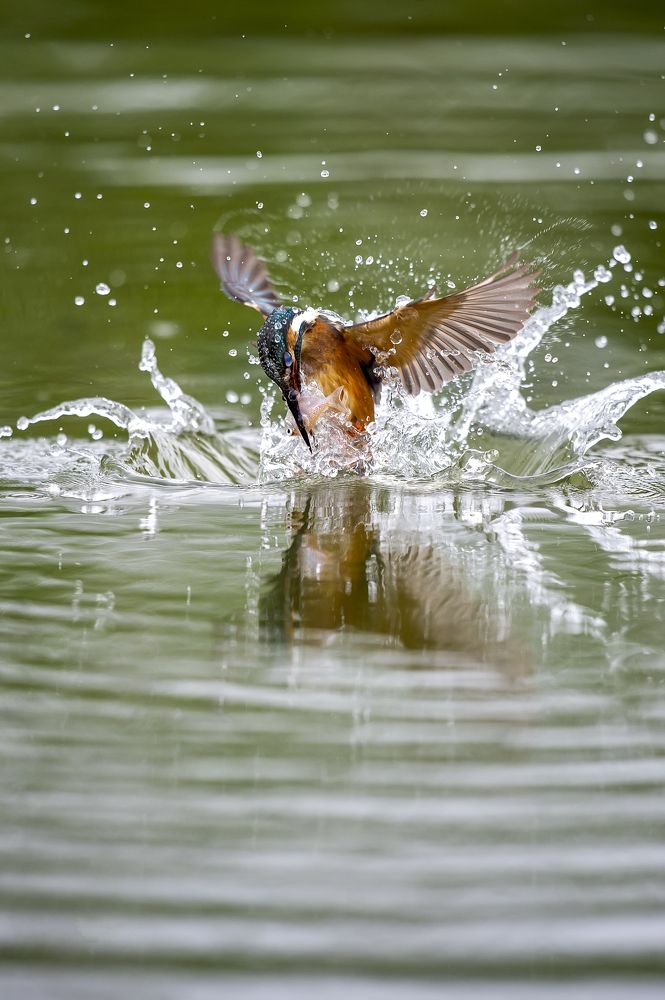 Photograph by Son Giap Hong