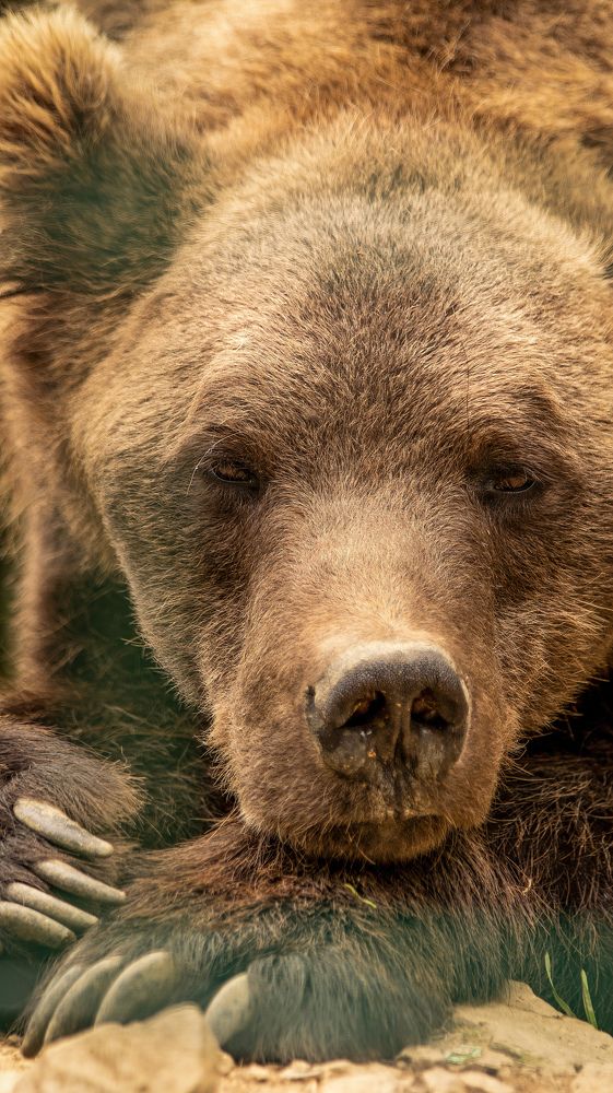 Photograph by Даниил Сырбу