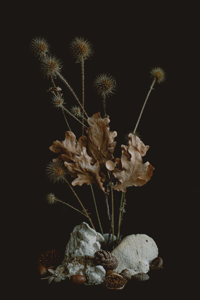 Photograph by Ольга Балашова