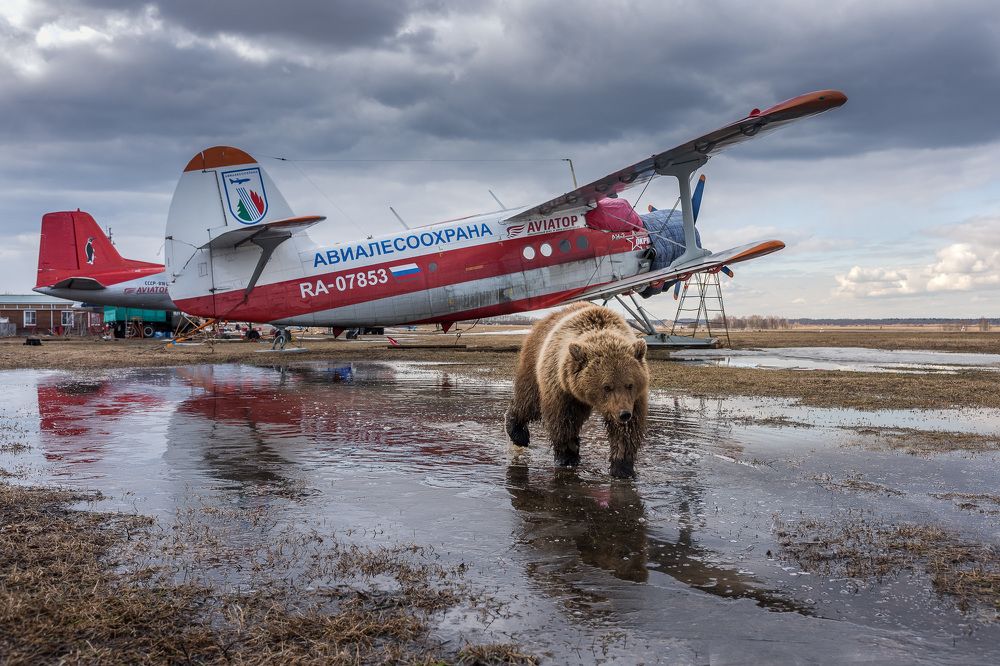 Photograph by Татьяна Белякова