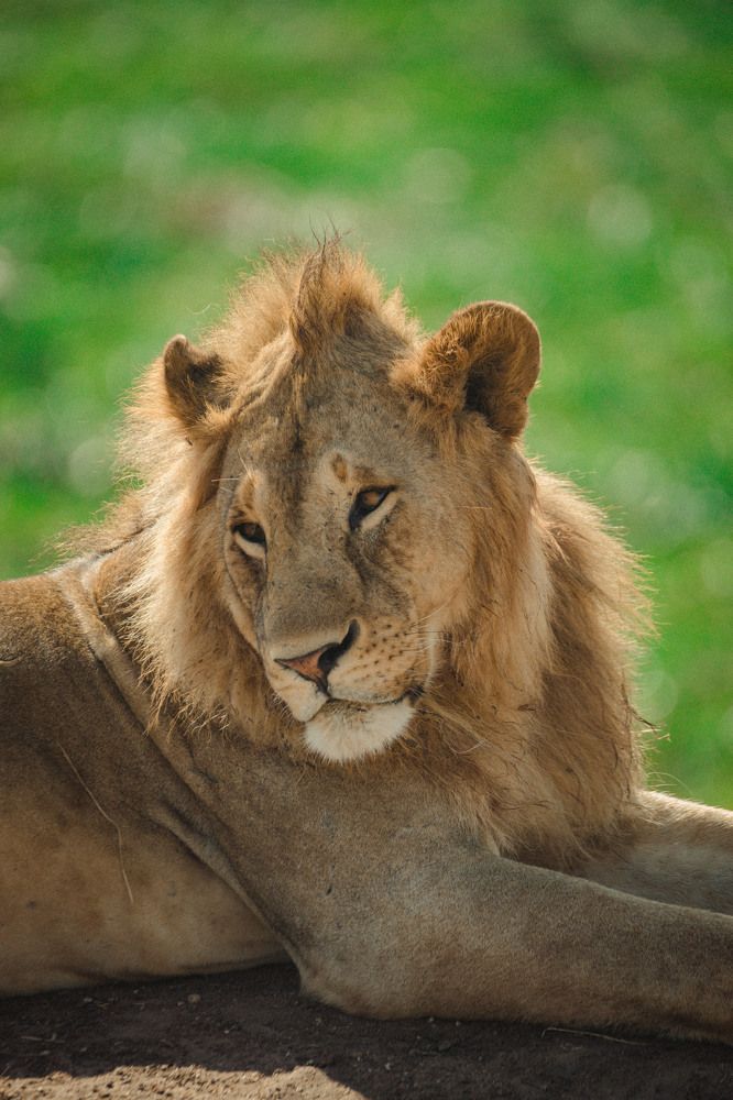 Photograph by Fredy Lukumay