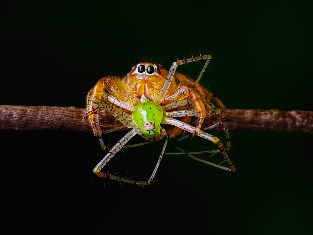 Фотография автора Ramprasad Das