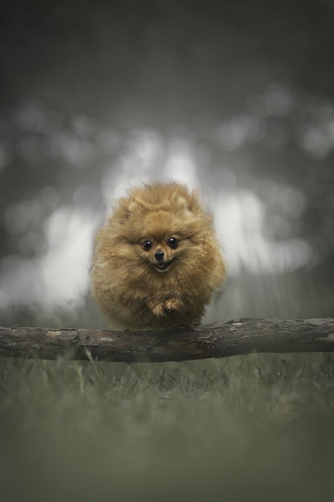 Фотография автора laura garcia