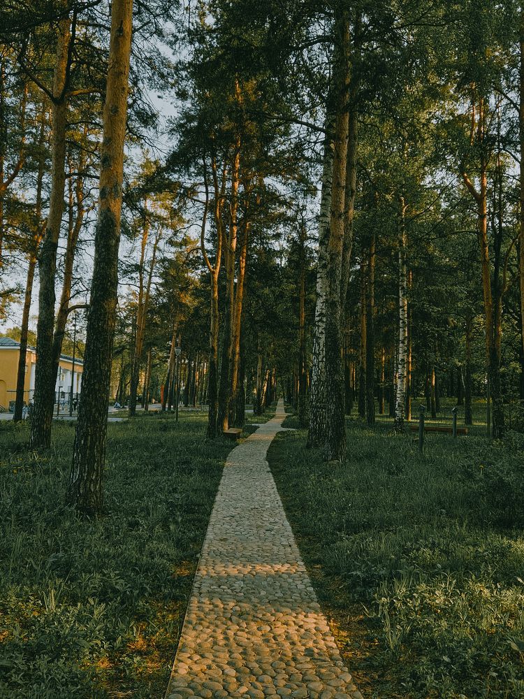 Photograph by Елена Семкина