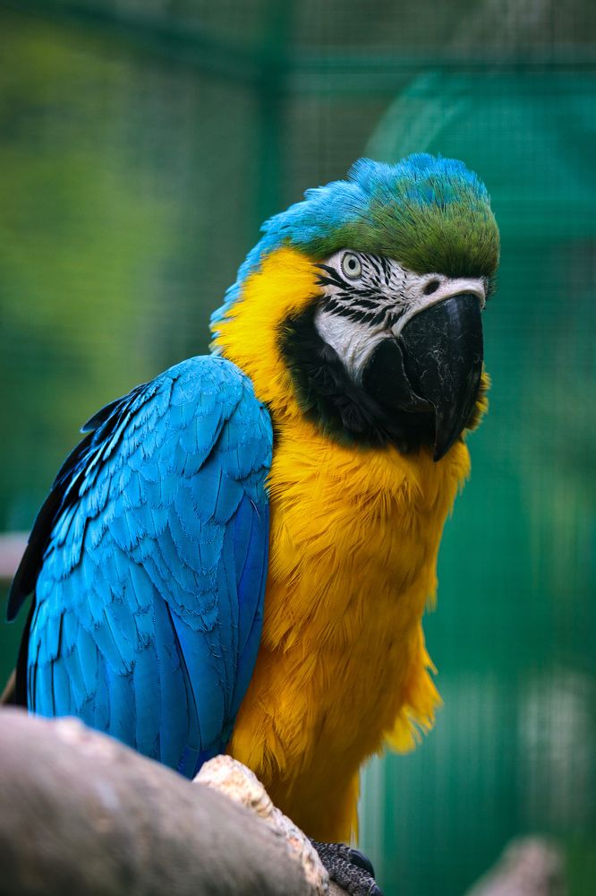 Photograph by Екатерина Нальгиева