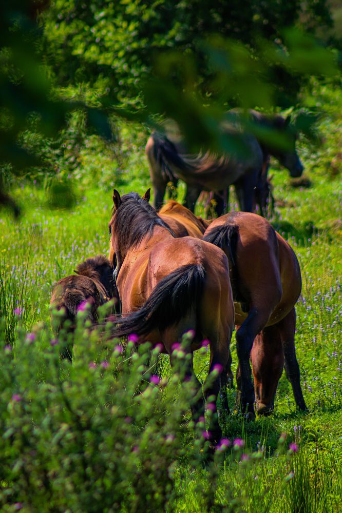Photograph by Екатерина Нальгиева