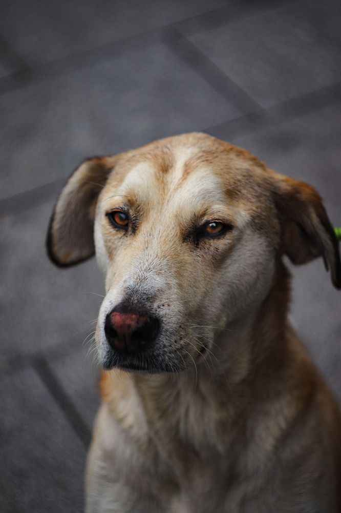 Photograph by Екатерина Нальгиева