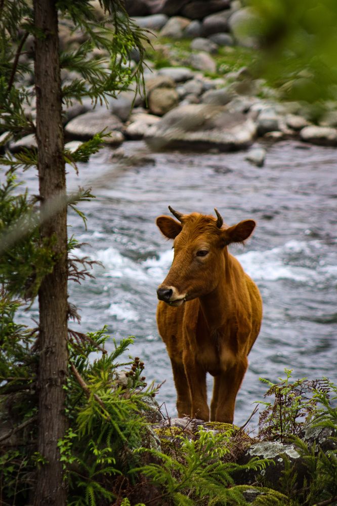 Photograph by Екатерина Нальгиева