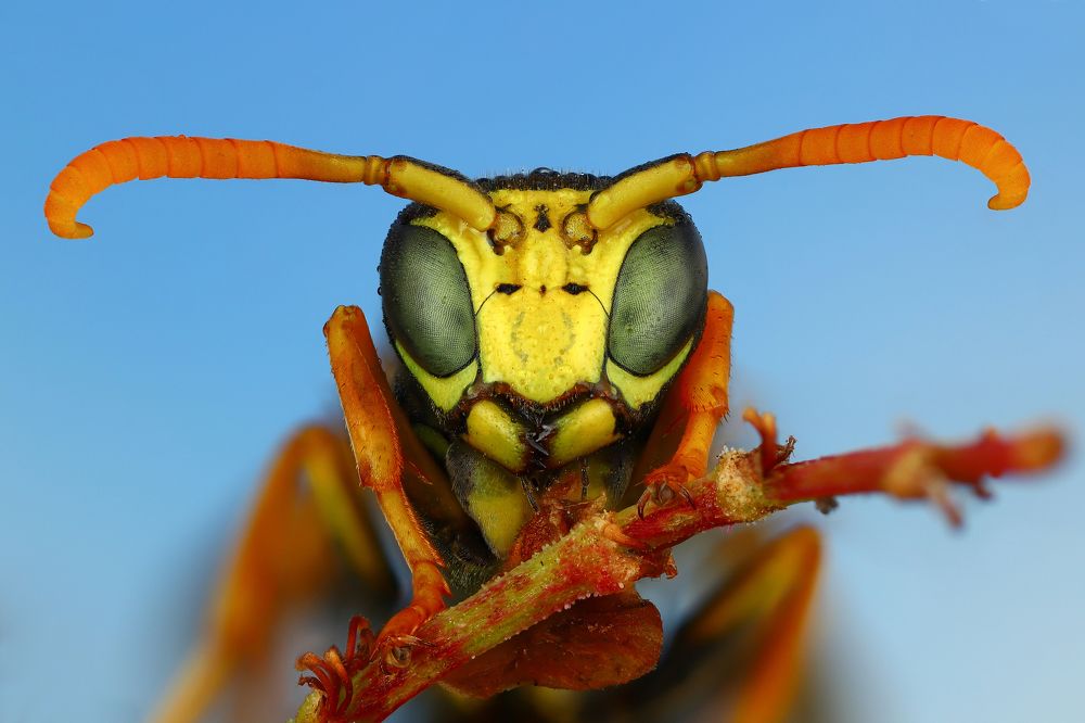 Фотография автора Андрей Шаповалов