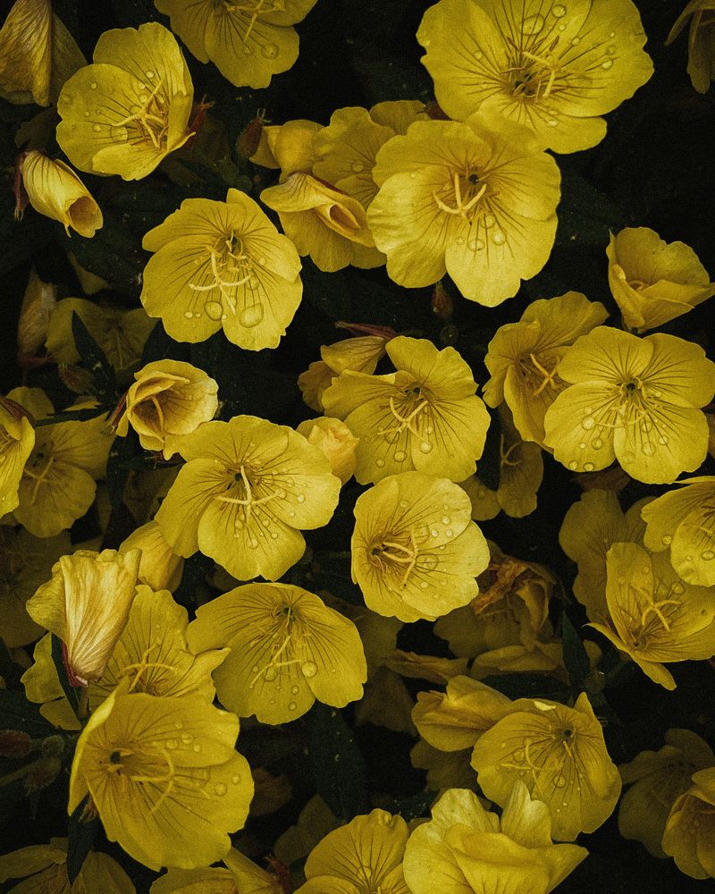 Photograph by Оксана Якименко