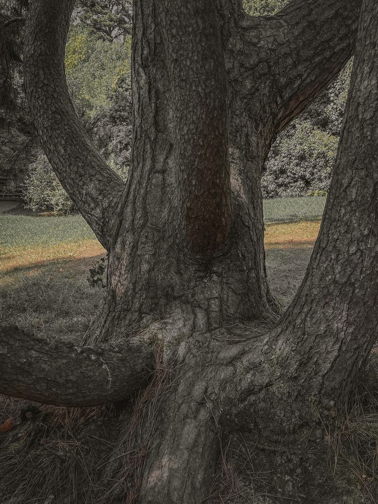 Photograph by Оксана Якименко