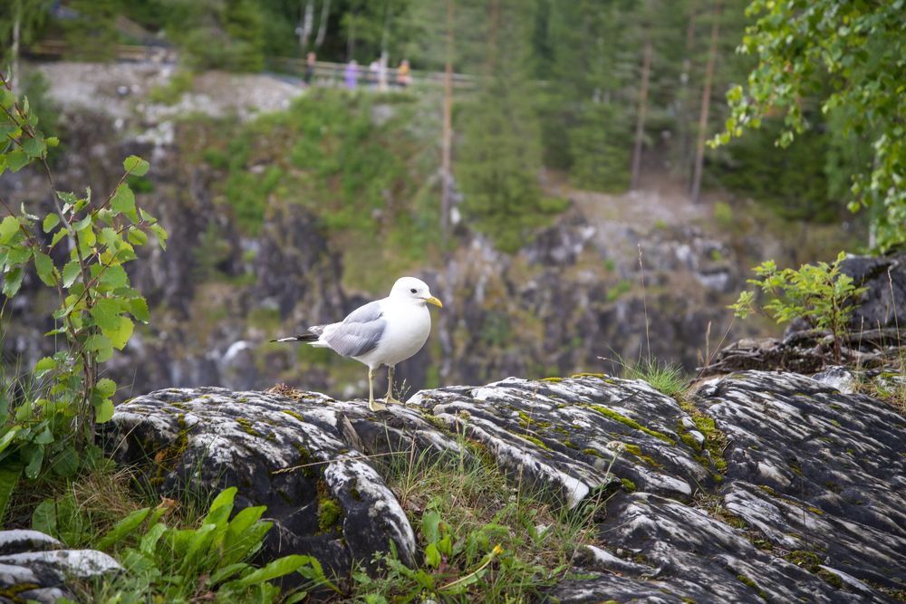 Photograph by Наталья Сергеевна Крылова