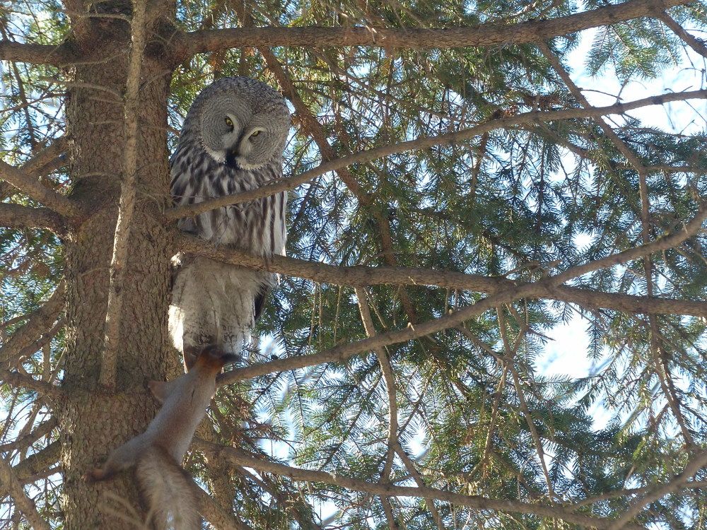 Photograph by Георгий Салюков