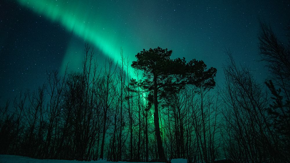 Photograph by Андрей Лизунов