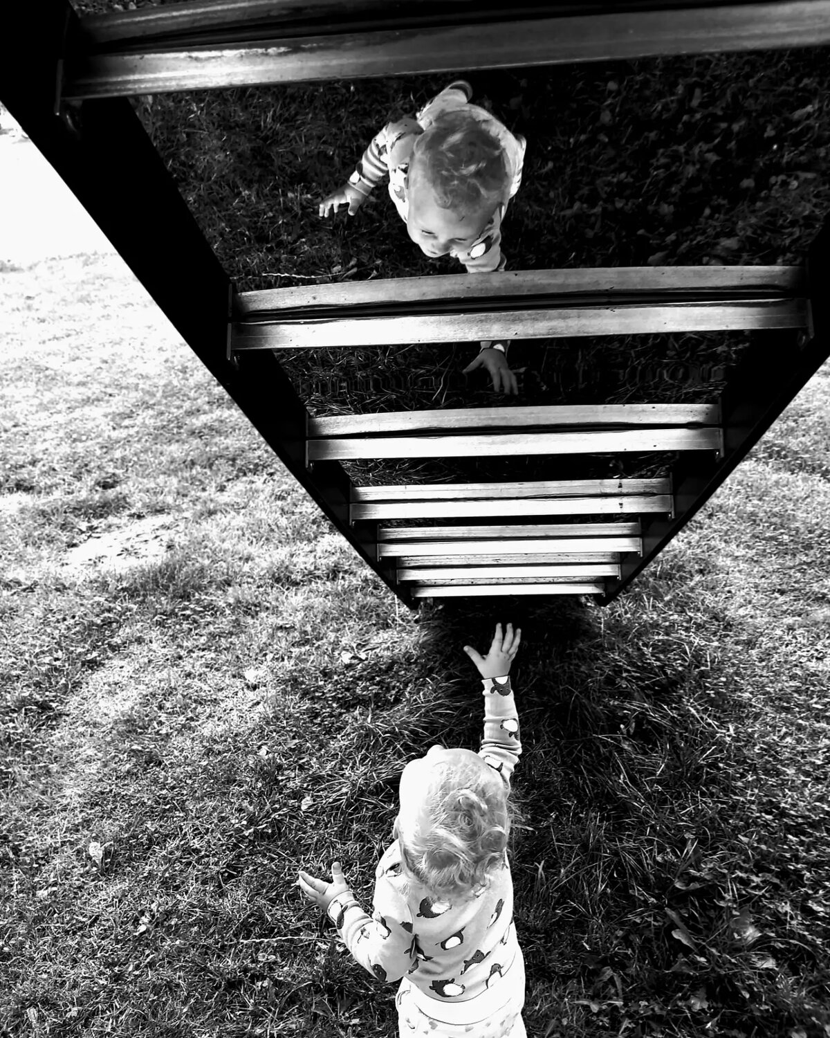 Photo #10466099