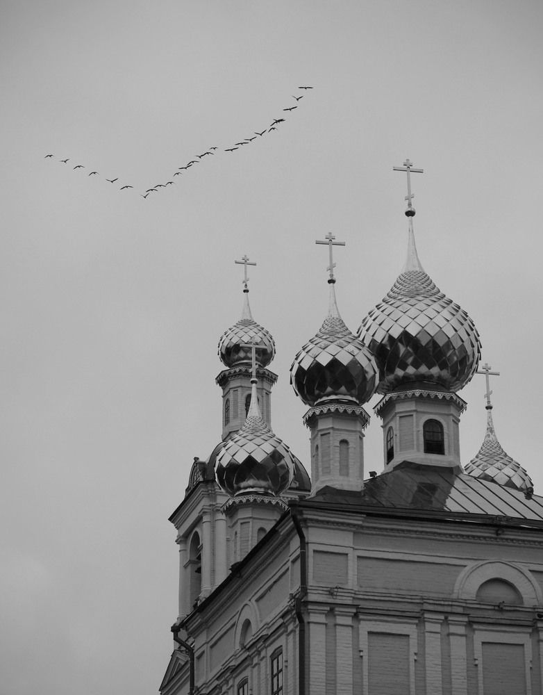 Photograph by Надежда Румянцева