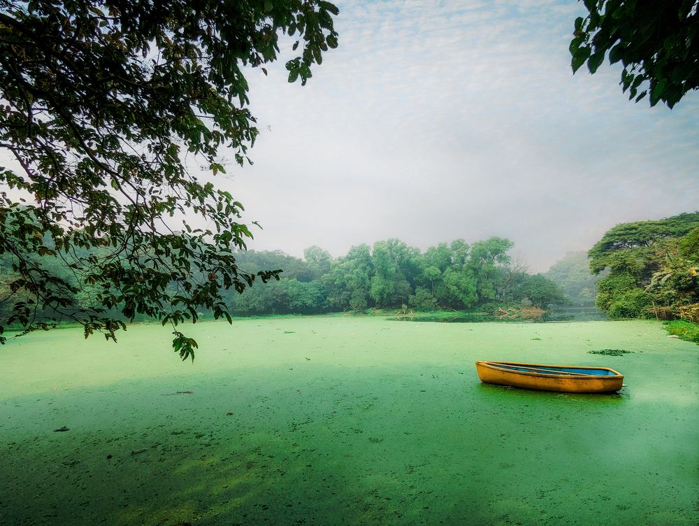 Photograph by Zunaid Hasan