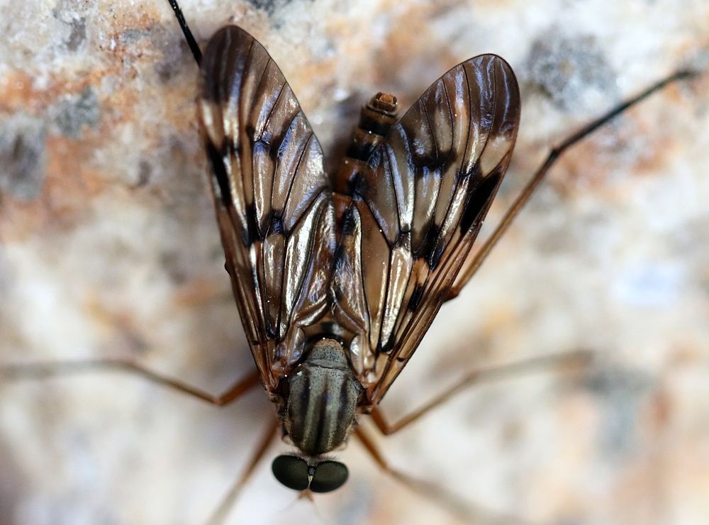 Photograph by Isabel Moreira