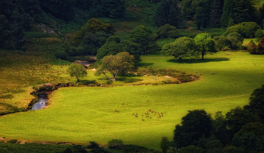 Фотография автора Kanstantsin Markevich