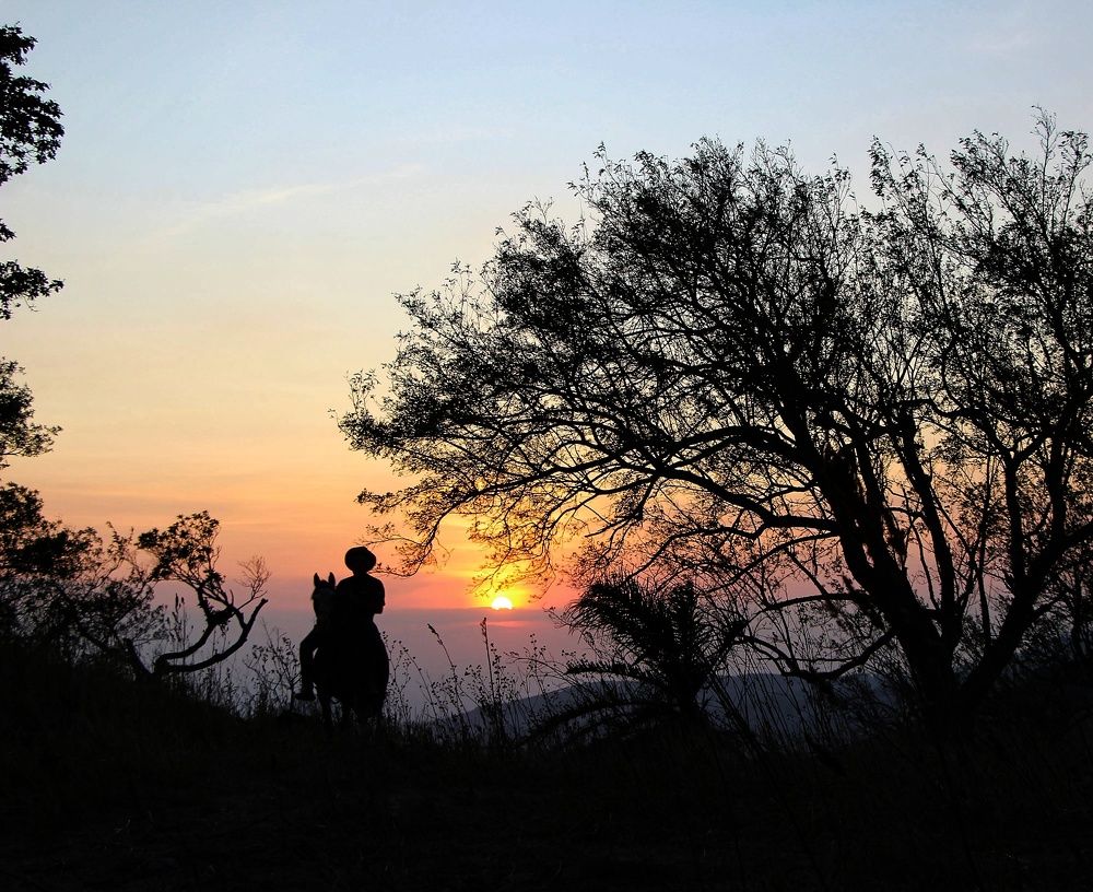 Photograph by Mauricio Mora Flores