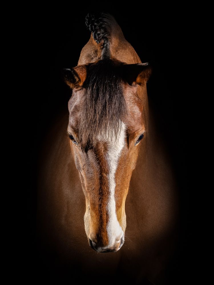 Фотография автора Nadina Ironia