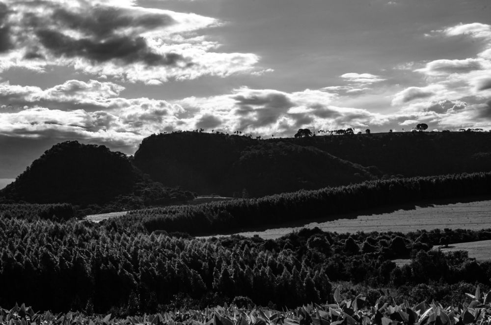 Photograph by Wilker Carvalho