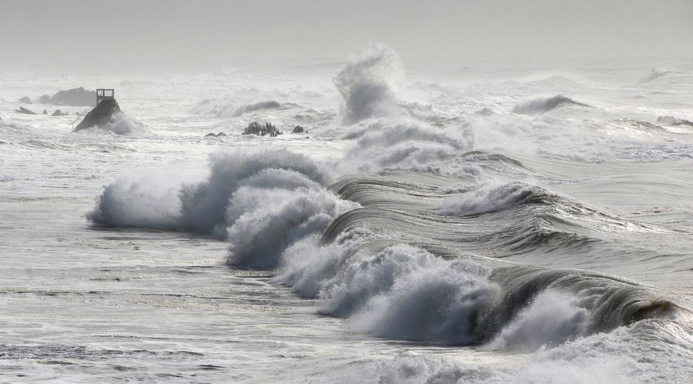 Фотография автора Lavadinho Joao