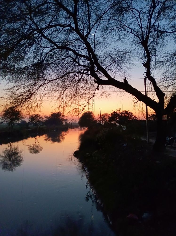Photo #10466438