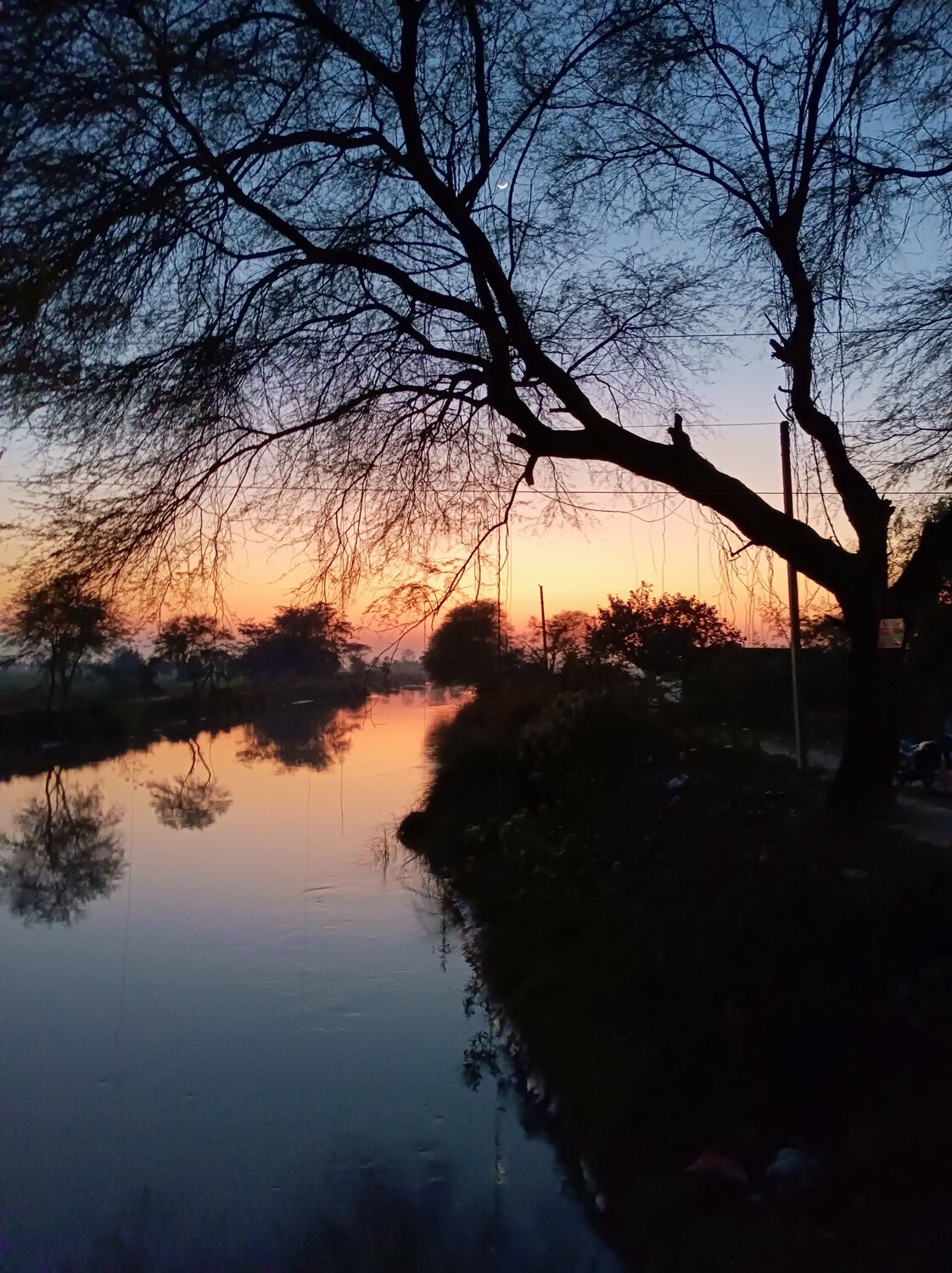 Photo #10466438