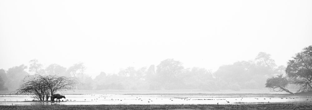 Photograph by Sharad Mansharamani