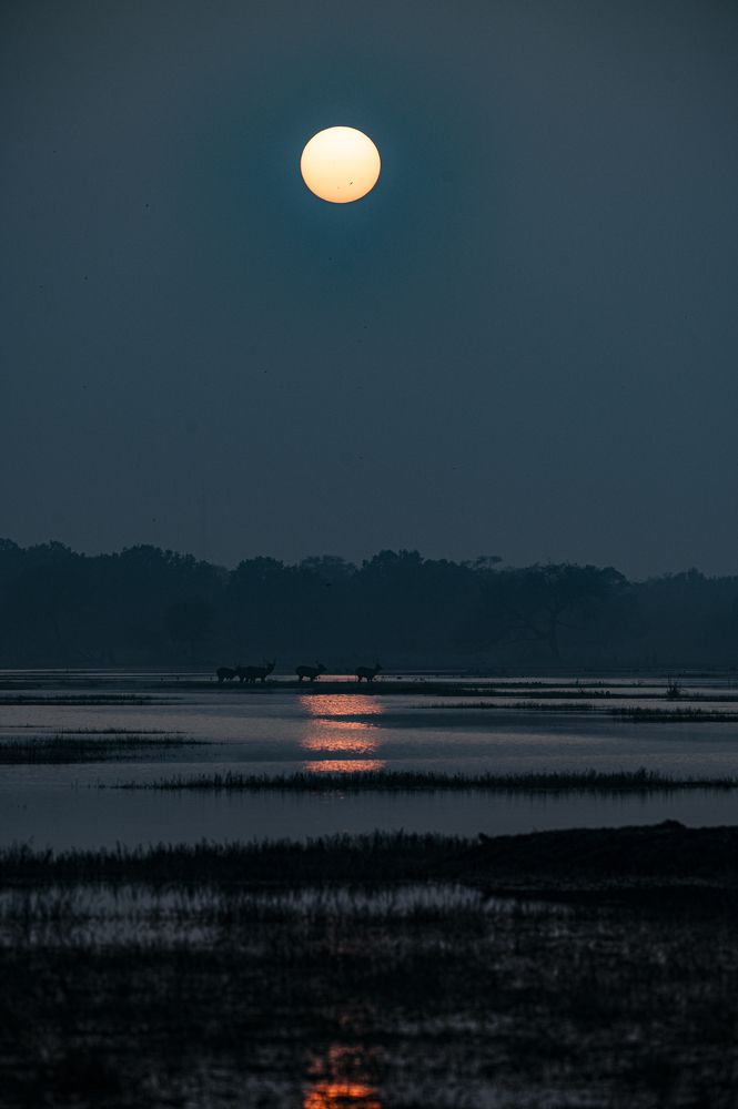 Photograph by Sharad Mansharamani