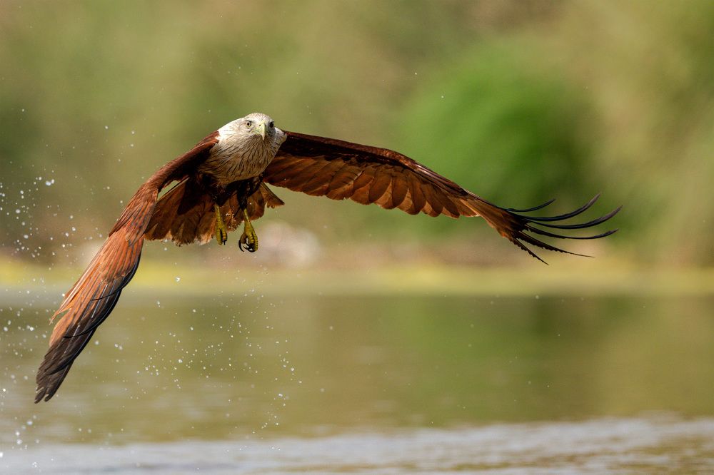 Photograph by Sharad Mansharamani