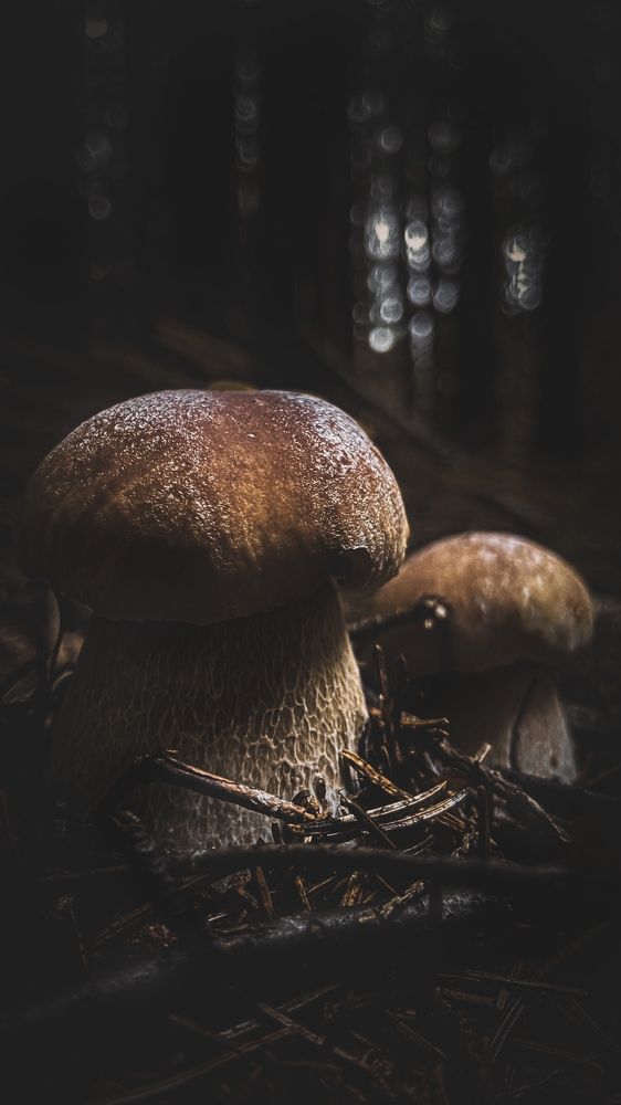 Photograph by Motion Paradox