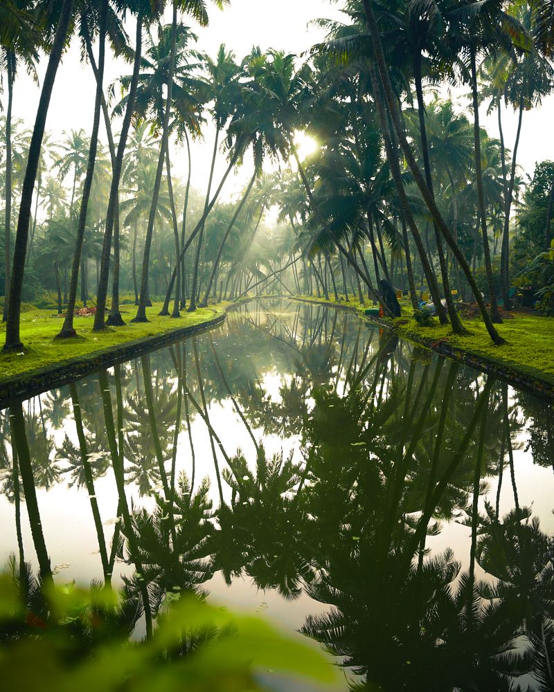 Photograph by Aneesh Kumar