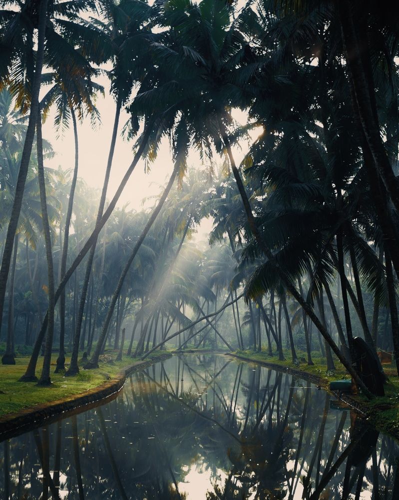 Photograph by Aneesh Kumar