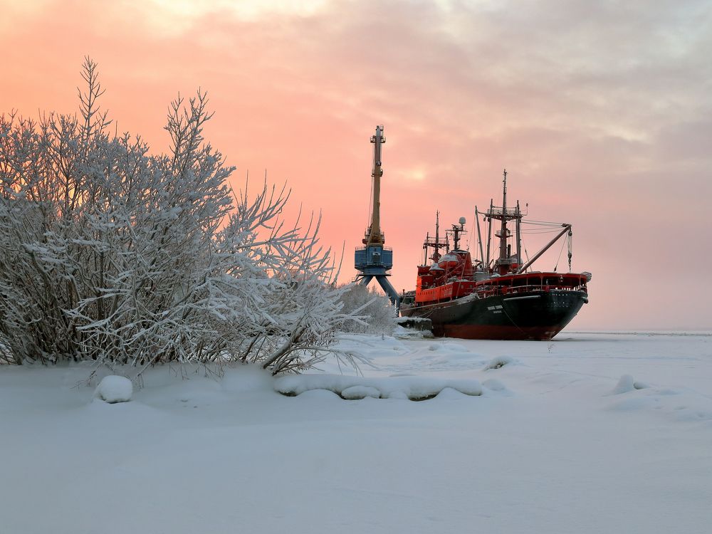 Photograph by Александр Титов