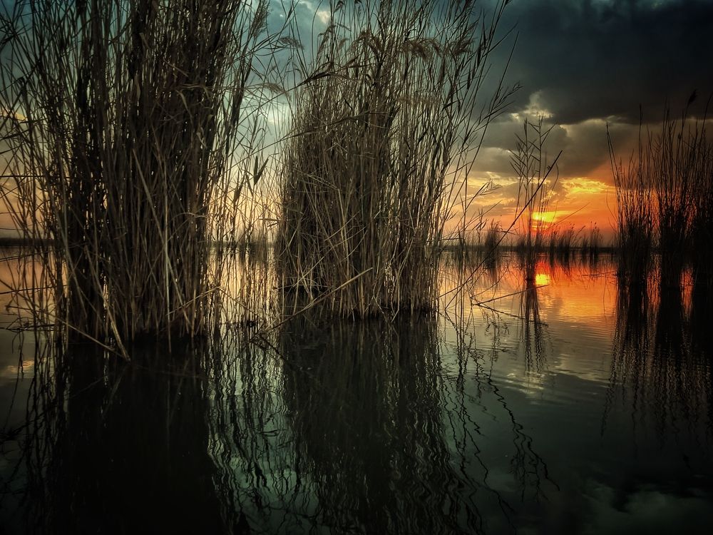 Photograph by mohammad mahmoodpoor