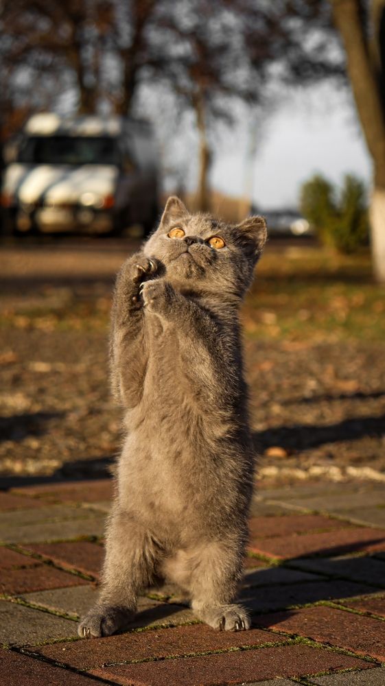 Photograph by Даниил Сырбу