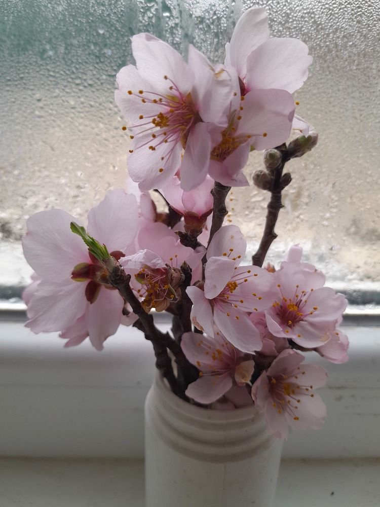 Photograph by Татьяна Ситникова