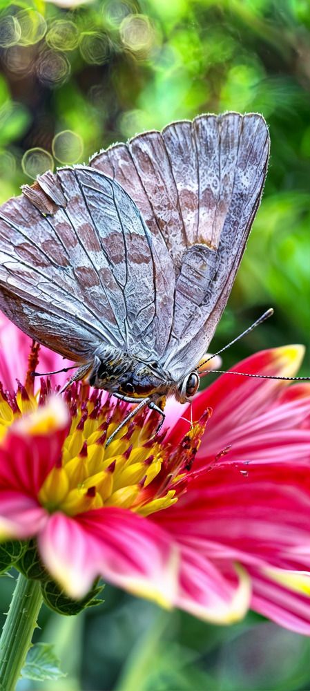 Photograph by Himanshu Sharma