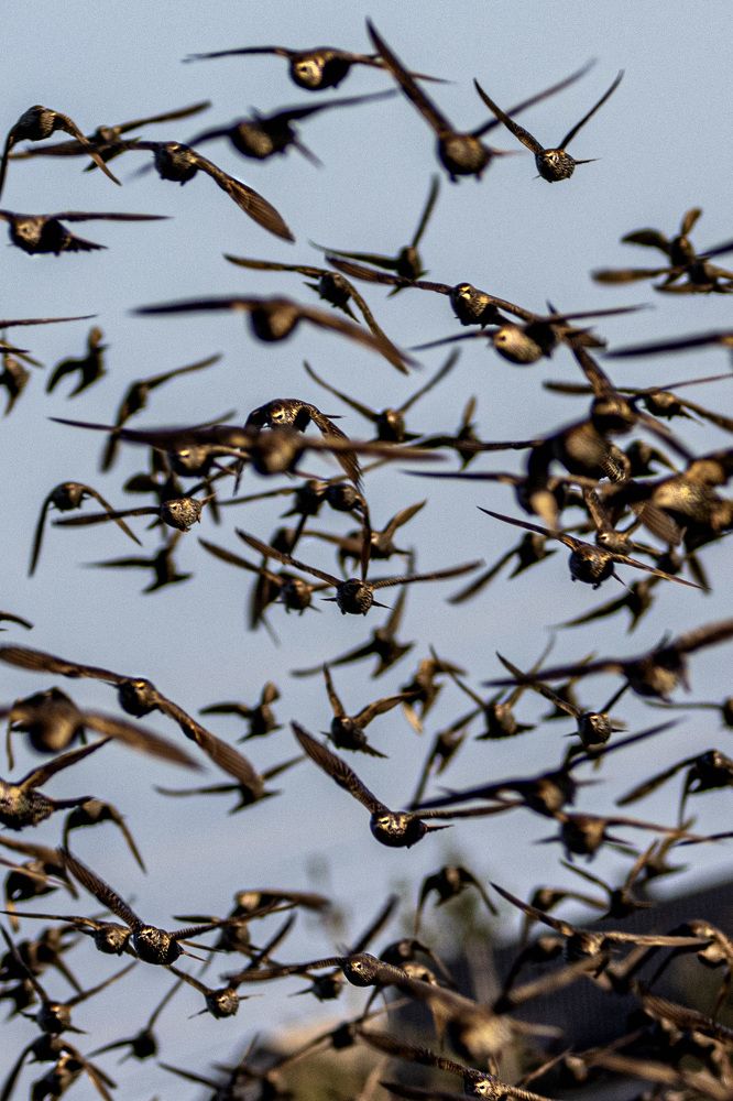 Photograph by Anna Suchcicka