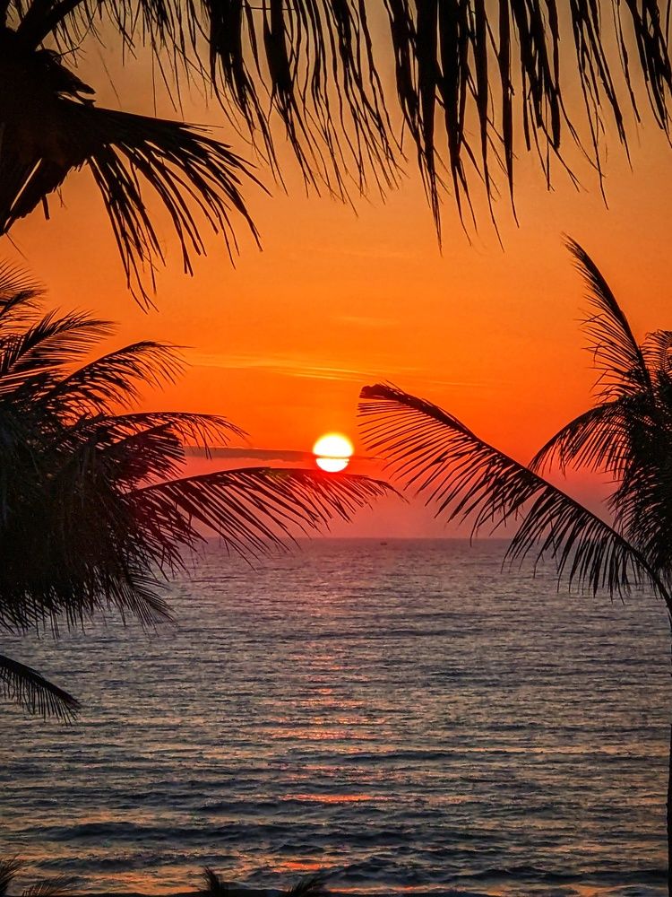 Фотография автора Adonis Aydalla