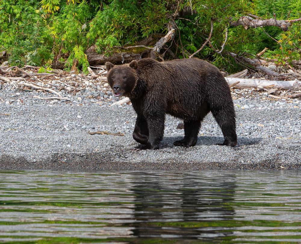 Photograph by Максин Александр
