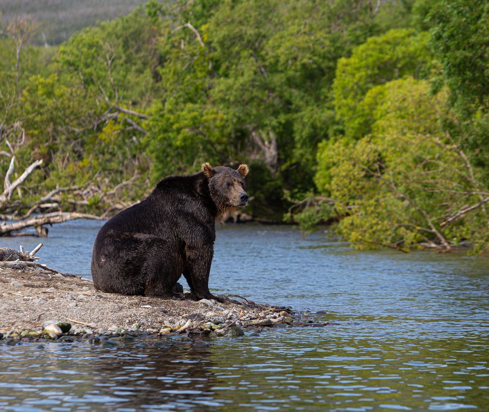 Photograph by Максин Александр